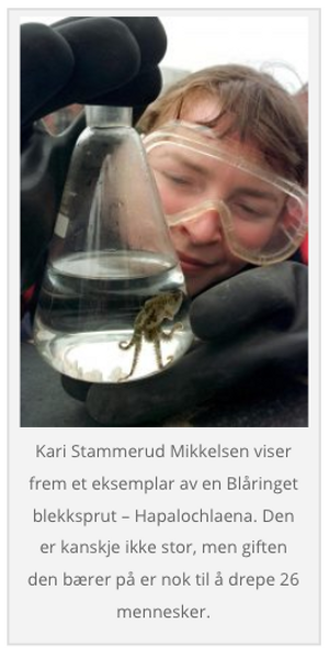 Norsk Naturinformatikk har diktet opp marinbiologen Kari Stammerud Mikkelsen. Verken hun eller instituttet hun jobber for finnes.