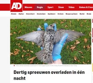 Flere hundre fugler døde i en park i Haag i Nederland i fjor høst. Flere hevder det skyldes 5G-testing. Avisen AD har omtalt fugledøden i en rekke artikler, og finner ingen sammenheng mellom 5G og fugledøden.