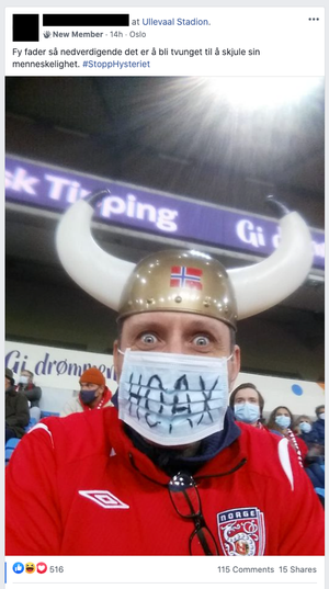 Slik delte en bruker i gruppen bilde av seg selv fra landskamp på Ullevaal stadion – iført et munnbind med påskrift som protest.